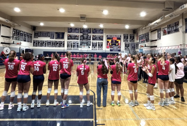 Dig Pink Volleyball Game